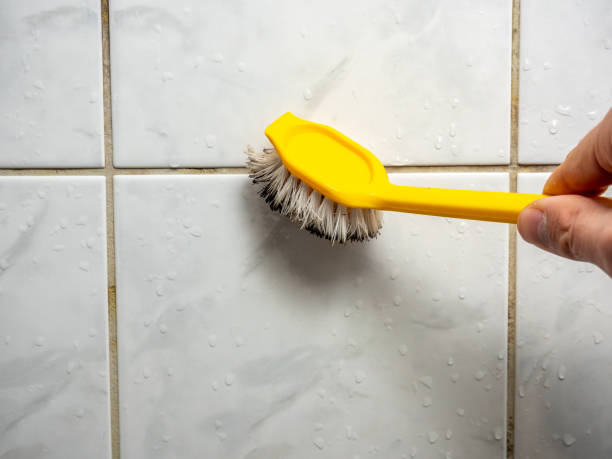 Best Local Mold Removal Service  in Loughman, FL