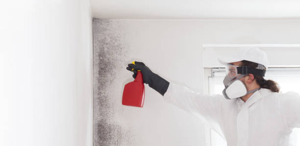 Best Mold Testing  in Loughman, FL